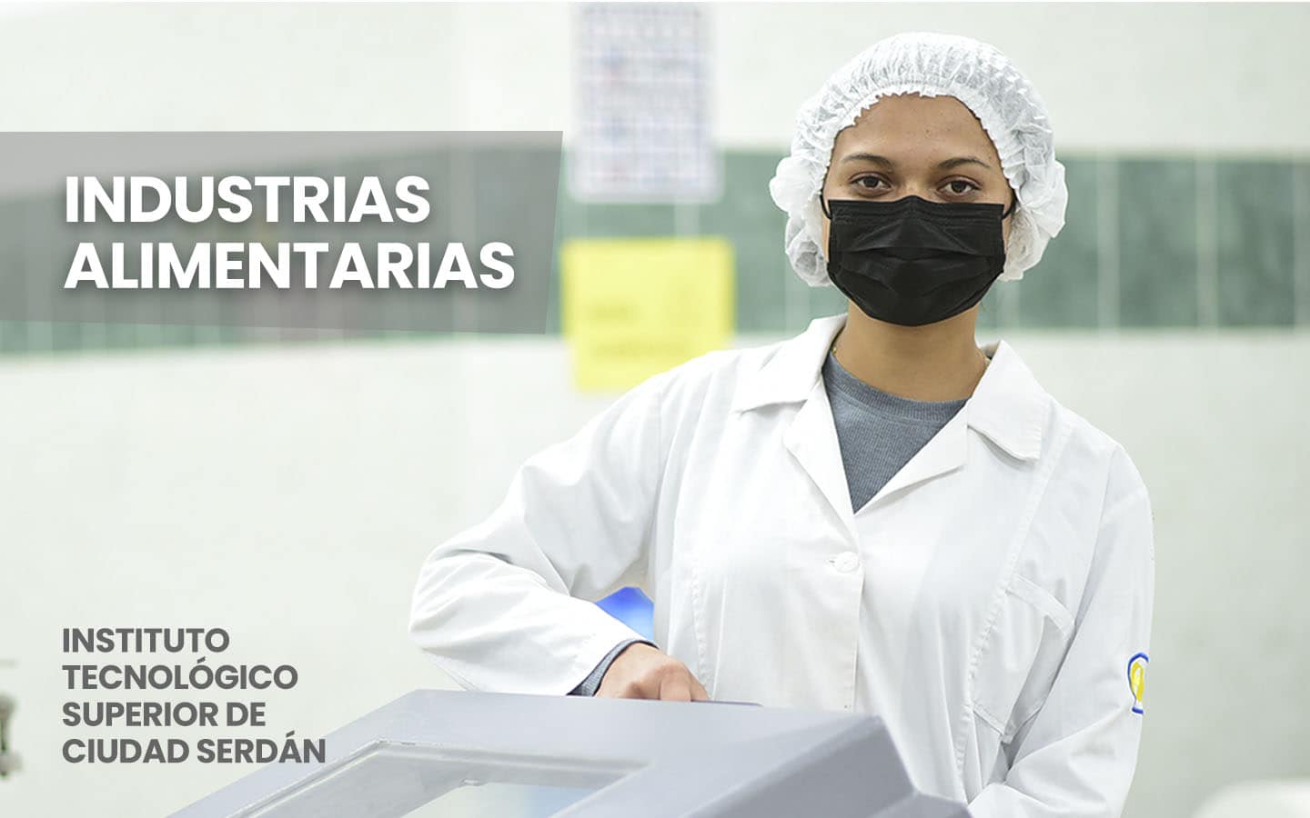 Ingeniería en Industrias Alimentarias