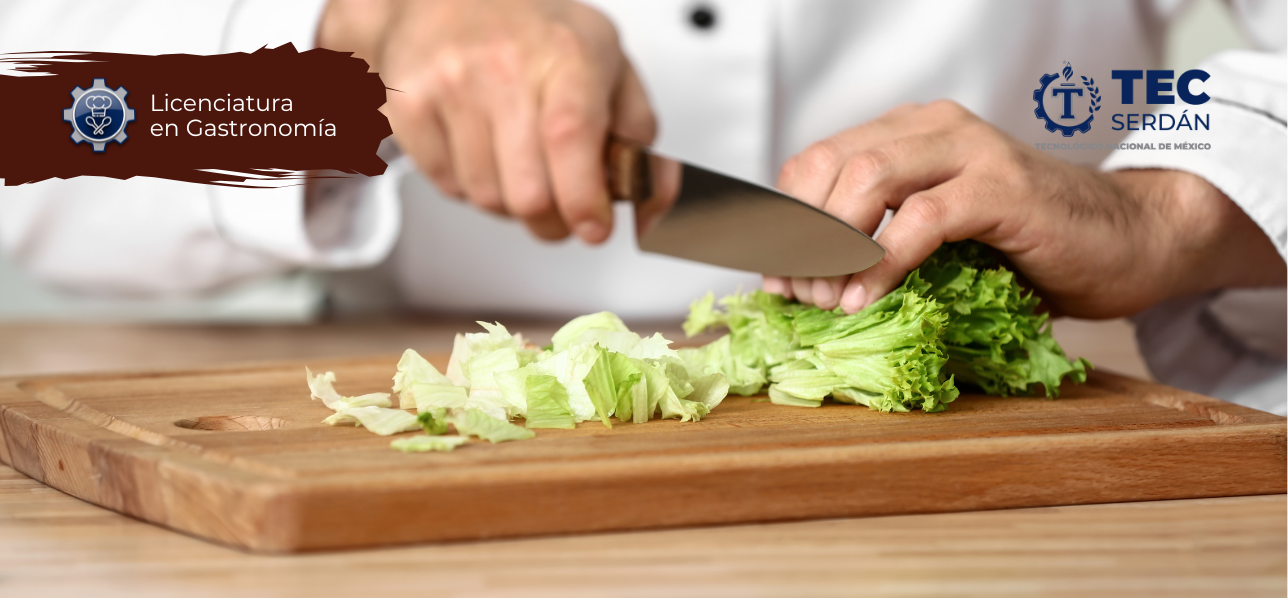 Licenciatura en Gastronomía